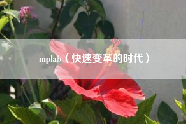 mplab(快速变革的时代)