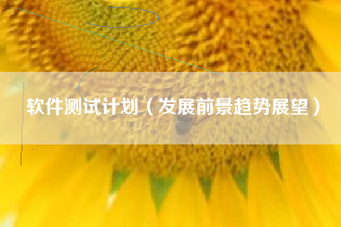 软件测试计划(发展前景趋势展望)