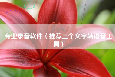 专业录音软件（推荐三个文字转语音工具）