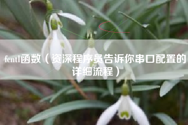 fcntl函数（资深程序员告诉你串口配置的详细流程）