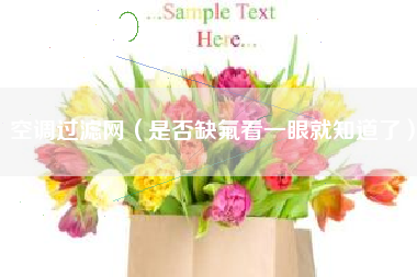 空调过滤网(是否缺氟看一眼就知道了)