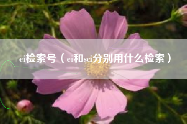 ei检索号(ei和sci分别用什么检索)