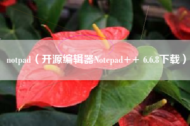 notpad（开源编辑器Notepad++ 6.6.8下载）