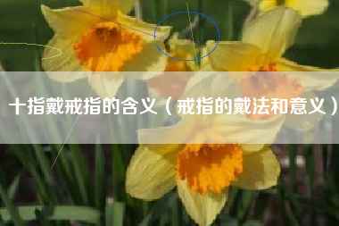 十指戴戒指的含义（戒指的戴法和意义）