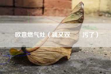 欧意燃气灶（就又双叒叕污了）