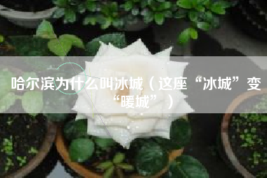 详细阅读:哈尔滨为什么叫冰城(这座“冰城”变“暖城”) 哈尔滨为什么叫冰城(这座“冰城”变“暖城”)
