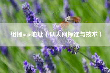 组播mac地址(以太网标准与技术)