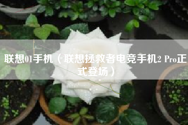 联想01手机（联想拯救者电竞手机2 Pro正式登场）