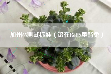 加州65测试标准(铅在RoHS里豁免)