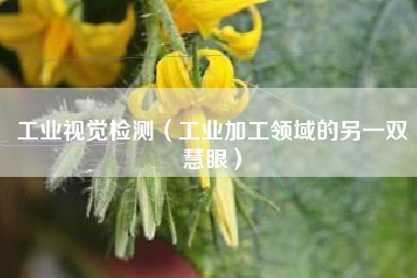 工业视觉检测（工业加工领域的另一双慧眼）
