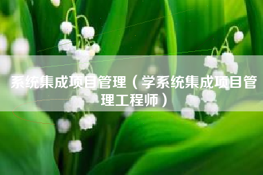 系统集成项目管理（学系统集成项目管理工程师）