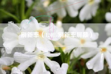 刷新率（120Hz刷新率屏幕）