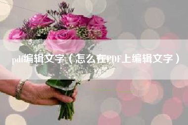 pdf编辑文字（怎么在PDF上编辑文字）