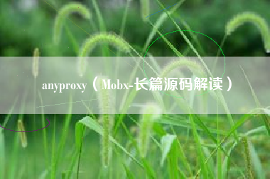 anyproxy（Mobx-长篇源码解读）