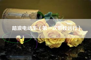 踏浪电动车（第一次带娃远行）