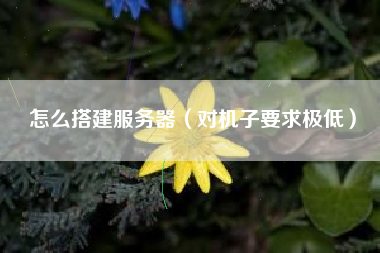 怎么搭建服务器（对机子要求极低）