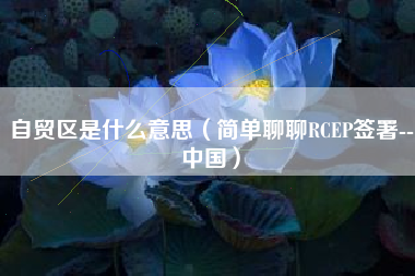 自贸区是什么意思(简单聊聊RCEP签署--中国)
