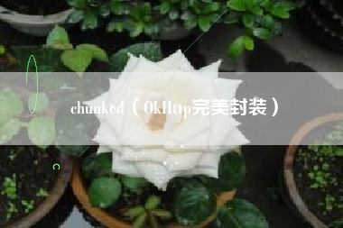 chunked(OkHttp完美封装)