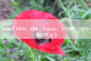 utf16（ASCII、GBK、Unicode、UTF-8、UTF-16和UTF-32）