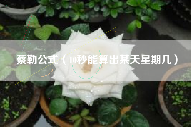 蔡勒公式(10秒能算出某天星期几)