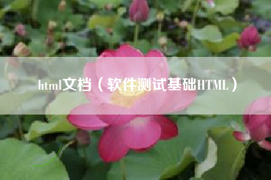 html文档（软件测试基础HTML）