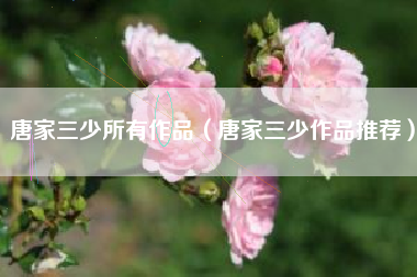 唐家三少所有作品（唐家三少作品推荐）