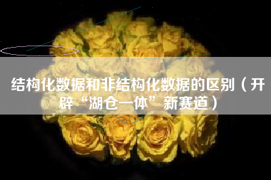 结构化数据和非结构化数据的区别（开辟“湖仓一体”新赛道）