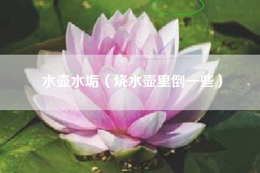详细阅读:水壶水垢(烧水壶里倒一些) 水壶水垢(烧水壶里倒一些)