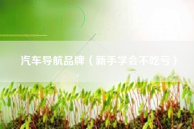 汽车导航品牌(新手学会不吃亏)