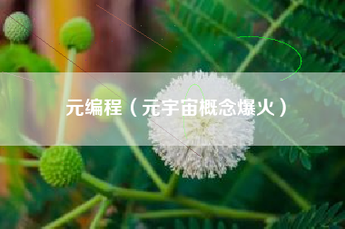 元编程（元宇宙概念爆火）