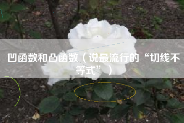 凹函数和凸函数（说最流行的“切线不等式”）