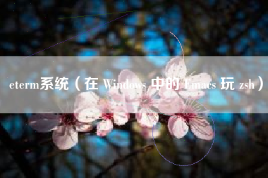 eterm系统（在 Windows 中的 Emacs 玩 zsh）
