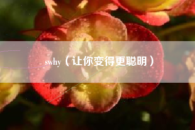 swhy(让你变得更聪明)