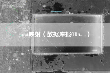 nat映射（数据库报ORA-...）