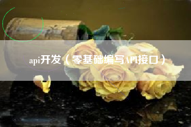 api开发（零基础编写API接口）