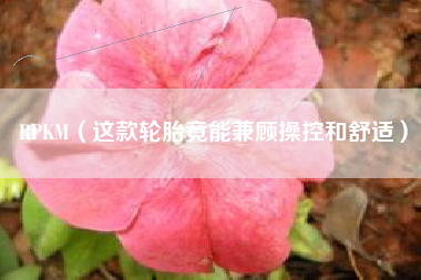 RPKM（这款轮胎竟能兼顾操控和舒适）