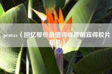pentax（回忆那些最值得收藏的宾得胶片相机）