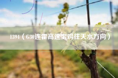 1394（G30连霍高速宝鸡往天水方向）