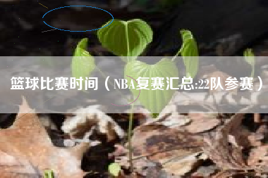 篮球比赛时间（NBA复赛汇总:22队参赛）