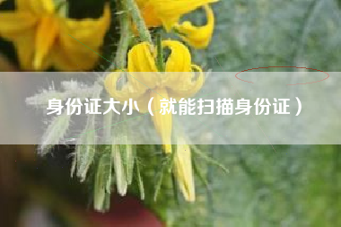 身份证大小(就能扫描身份证)