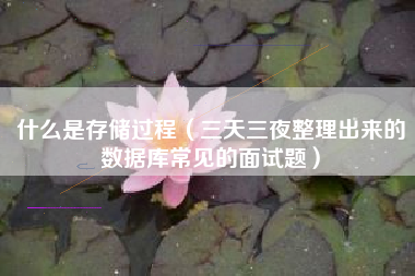 什么是存储过程（三天三夜整理出来的数据库常见的面试题）