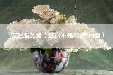 域控服务器（这次不是DNS的问题）