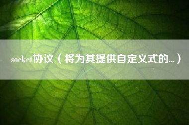 socket协议（将为其提供自定义式的...）