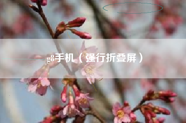 g8手机（强行折叠屏）