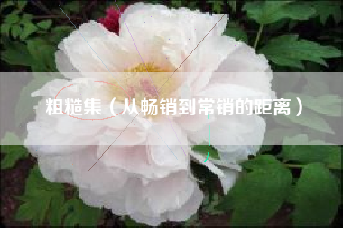 粗糙集（从畅销到常销的距离）