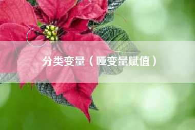 分类变量（哑变量赋值）