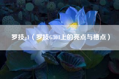 罗技g1(罗技G304上的亮点与槽点)