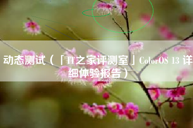 动态测试（「IT之家评测室」ColorOS 13 详细体验报告）