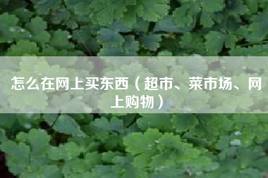 怎么在网上买东西（超市、菜市场、网上购物）