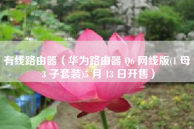 有线路由器（华为路由器 Q6 网线版(1 母 3 子套装)5 月 13 日开售）